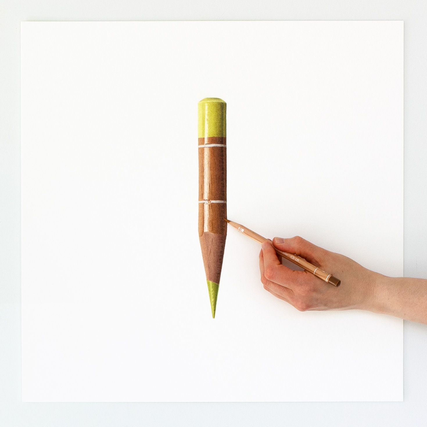 Olive Yellow Colored Pencil